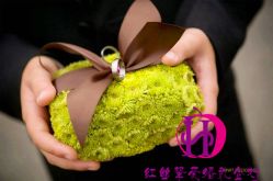 -上海万豪虹桥大酒店·宴会厅