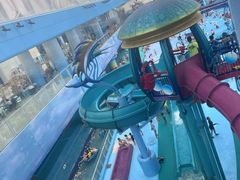 -水立方嬉水乐园