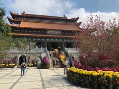 -宝莲禅寺