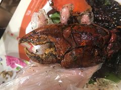 -纽顿熟食中心