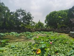 -无锡蠡湖国家湿地公园-蠡园