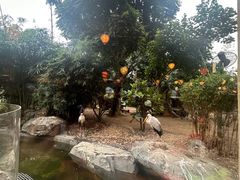 -熊猫自助餐厅.萌趣城堡(长隆熊猫酒店)