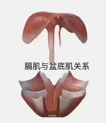 点击看大图 -昕孕瑜伽·孕妇瑜伽·产后修复