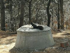 -北山公园