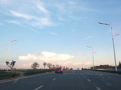 景点-合肥滨湖国家森林公园