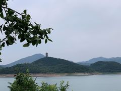 -望湖烤鱼