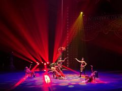 -珠海横琴长隆《卡卡虎奇遇记》