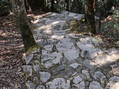 -云南屏边大围山国家公园