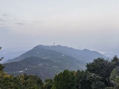 -梧桐山风景名胜区