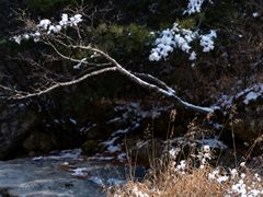 -洛阳白云山景区