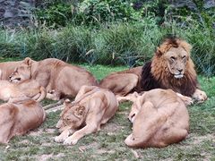 -北京野生动物园