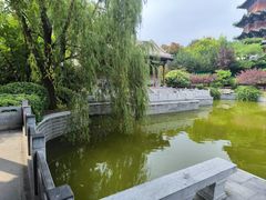 -迎泽公园