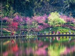 -重庆彩云湖湿地公园