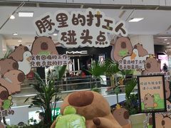 -凯德MALL(西直门店)
