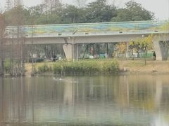 -白鹭湾湿地公园