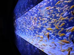 -成都浩海立方海洋公园