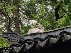 -北寺塔