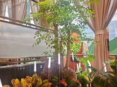 -润园四季椰子鸡火锅(南山海岸城店)