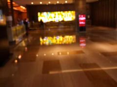 -南阳建业森林半岛假日酒店