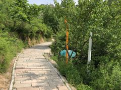 -大岭沟猕猴桃谷风景区