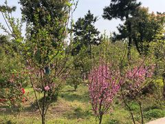 -南京金牛湖风景区