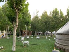 -九十九顶毡房(阜石路店)