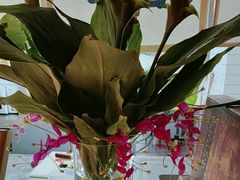 -佛有缘素食馆·荔湾老字号(陈家祠首店)