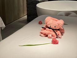 -VELEE·SPA高定疗愈会所