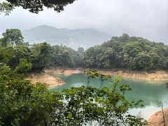 -广州市流溪河国家森林公园