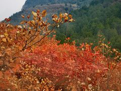 -狼牙山风景区