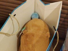 -BURANO布拉诺西餐(万达广场店)