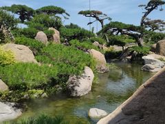 -罗红摄影艺术馆