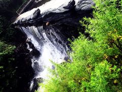 -凤凰山国家森林公园