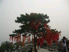 -香山公园-东宫门售票处