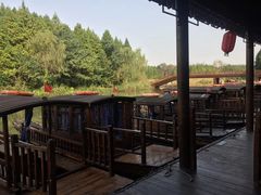 -溱湖国家湿地公园