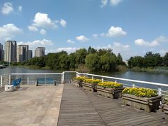 -新江湾城公园