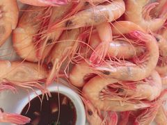 -魚當家