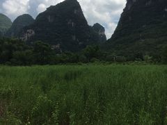 周边-生态苑农庄(十里画廊遇龙河店)