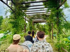 -军山湖云水间水上餐厅(进贤店)