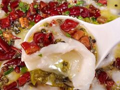 -抖鱼-抖音酸菜鱼(惠福东路店)