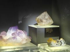 -湖南省地质博物馆