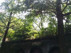 -镇江市南山风景名胜区竹林景区