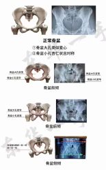-三只熊皮肤管理中心旗舰店