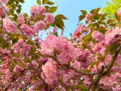 -唐城墙遗址公园