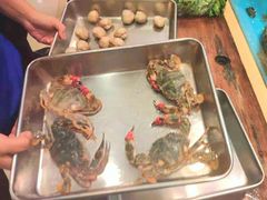 -鲜鲜·鲅鱼圈海鲜(于洪店)