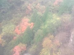 -狼牙山风景区