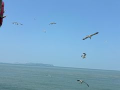 -长岛南北长山旅游景区