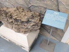 -延庆地质公园博物馆