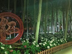 -仁和公园(顺义区)