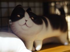 -猫咪博物馆(顶澳仔猫街店)